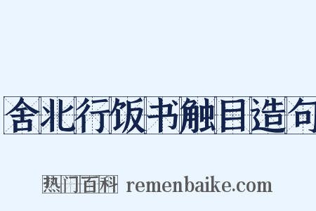 舍北行饭书触目造句是什么意思的图片